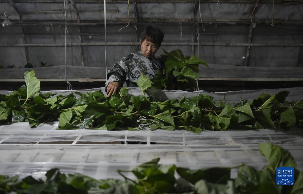 澳门巴黎人注册平台